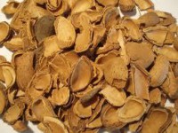 Casca de amendoa Biocasca saco de 15kg